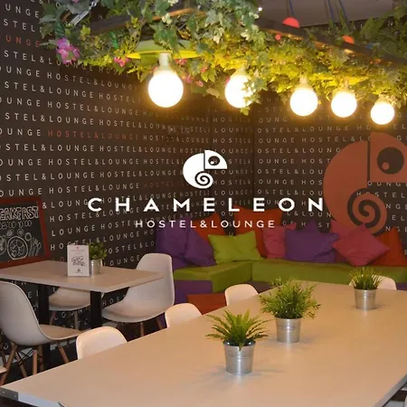 Хостел Chameleon & Lounge *